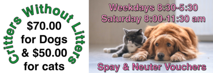 Critters Without Litters Spay and Neuter Discount